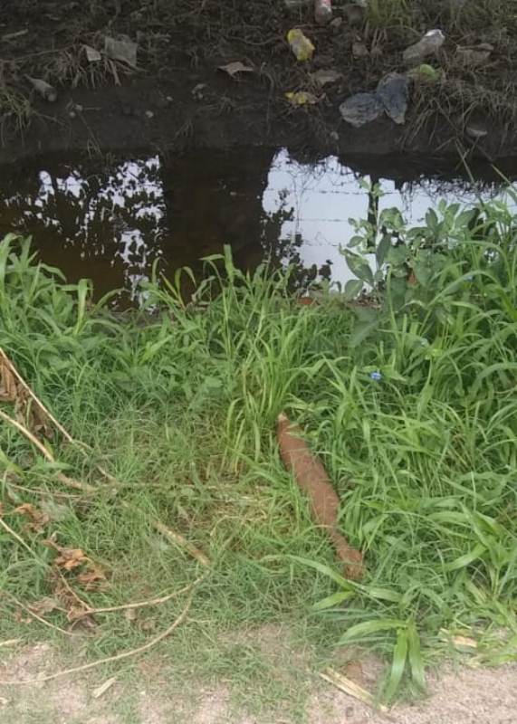 Insólito: encontraron una bomba mientras jugaban_5e25aa1b300f9.jpeg