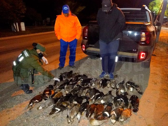 Cazadores con 42 patos muertos fueron demorados sur tucumano_5ee38224cc425.jpeg