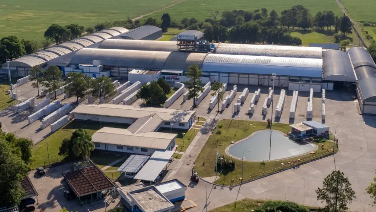 Las importaciones llevan a frenar la industria hasta un 60% Las importaciones llevan a frenar la industria hasta un 60%