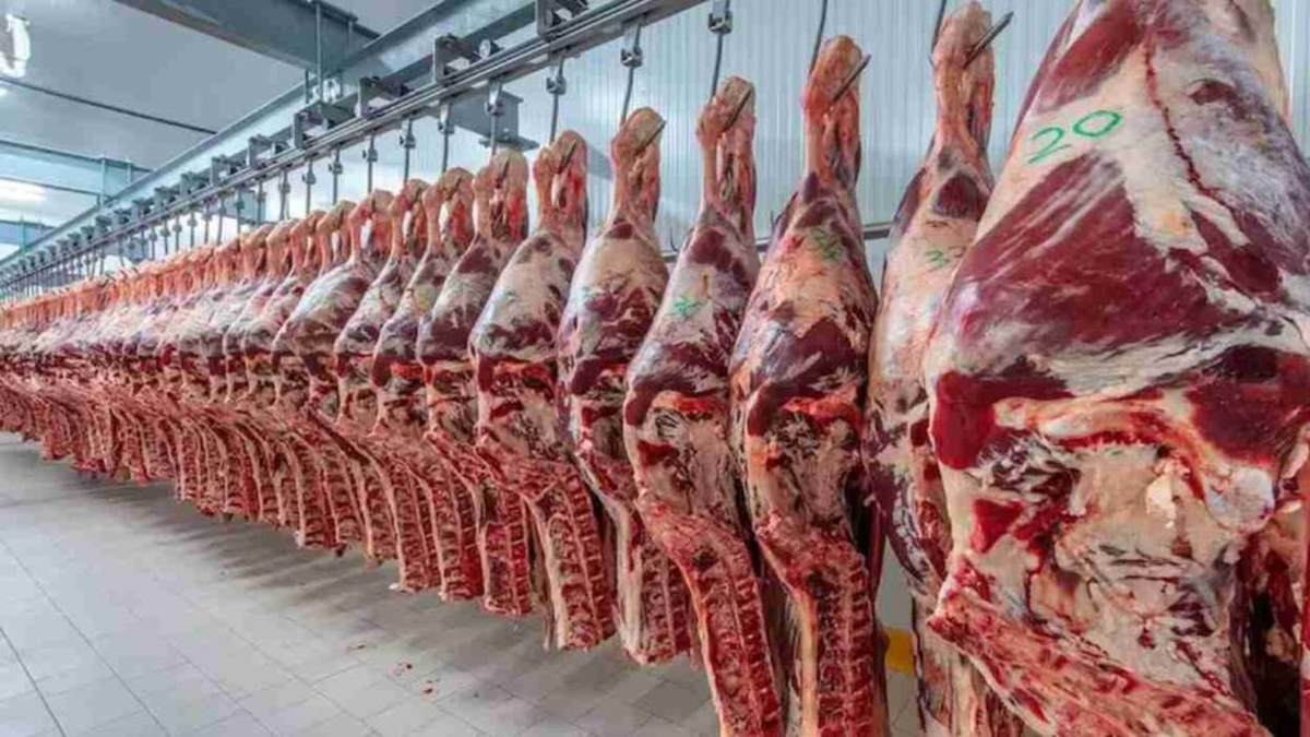 El Gobierno analiza una baja de retenciones para la carne El Gobierno analiza una baja de retenciones para la carne