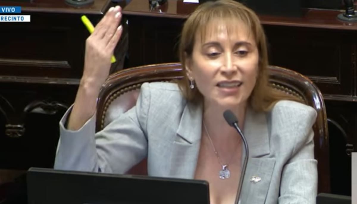 la-senadora-cristina-WUVIMJEPDVHV7HOUWFAUGVZHTY.png