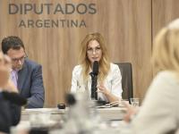 Lemoine, la férrea defensora de Adorni, fue designada al frente de la comisión de Juicio Político