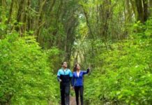 Tucumán propone un fin de semana con actividades en toda la provincia