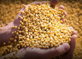 APRONOR advierte que el Gobierno Nacional quiere imponer una norma APRONOR advierte que el Gobierno Nacional quiere imponer una norma