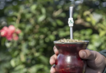 Crece el consumo de Yerba Mate, pero la rentabilidad alerta a productores Crece el consumo de Yerba Mate, pero la rentabilidad alerta a productores