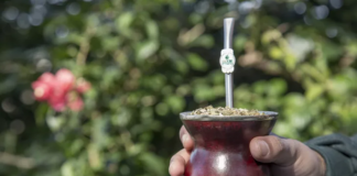 Crece el consumo de Yerba Mate, pero la rentabilidad alerta a productores Crece el consumo de Yerba Mate, pero la rentabilidad alerta a productores