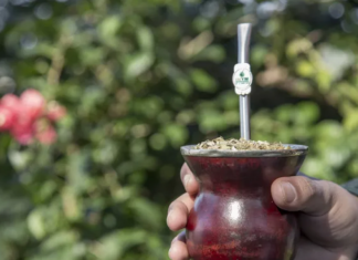 Crece el consumo de Yerba Mate, pero la rentabilidad alerta a productores Crece el consumo de Yerba Mate, pero la rentabilidad alerta a productores