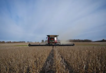 La actividad económica se hundió 2,6% mensual en febrero La actividad económica se hundió 2,6% mensual en febrero