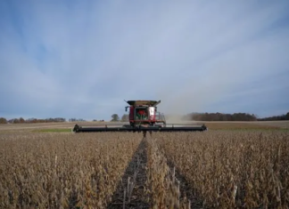 La actividad económica se hundió 2,6% mensual en febrero La actividad económica se hundió 2,6% mensual en febrero