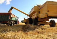 La guerra en Medio Oriente golpea al campo argentino por los impuestos La guerra en Medio Oriente golpea al campo argentino por los impuestos