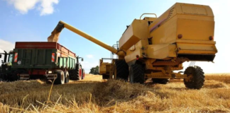 La guerra en Medio Oriente golpea al campo argentino por los impuestos La guerra en Medio Oriente golpea al campo argentino por los impuestos