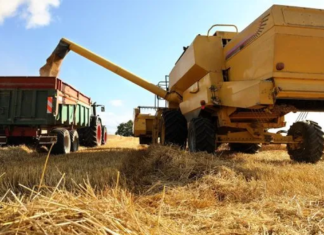 La guerra en Medio Oriente golpea al campo argentino por los impuestos La guerra en Medio Oriente golpea al campo argentino por los impuestos