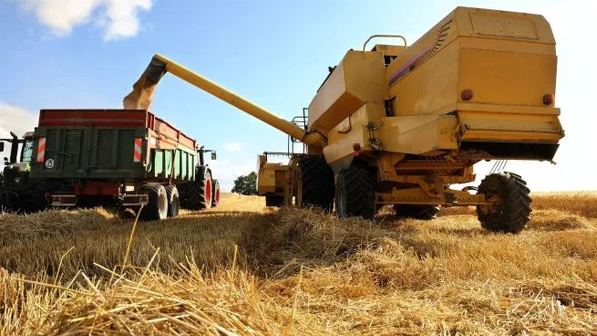 La guerra en Medio Oriente golpea al campo argentino por La guerra en Medio Oriente golpea al campo argentino por los impuestos