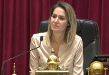 Unión por la Patria rechazó el proyecto de Carolina Losada para endurecer penas por denuncias falsas