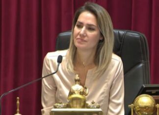 Unión por la Patria rechazó el proyecto de Carolina Losada para endurecer penas por denuncias falsas