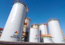 Los argentinos consumimos grandes volúmenes de biocombustibles Los argentinos consumimos grandes volúmenes de biocombustibles