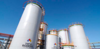 Los argentinos consumimos grandes volúmenes de biocombustibles Los argentinos consumimos grandes volúmenes de biocombustibles