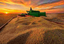 Mientras el agro crece, la industria del consumo sigue estancada Mientras el agro crece, la industria del consumo sigue estancada
