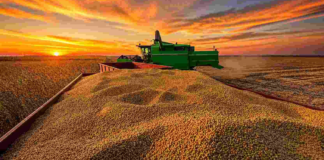 Mientras el agro crece, la industria del consumo sigue estancada Mientras el agro crece, la industria del consumo sigue estancada