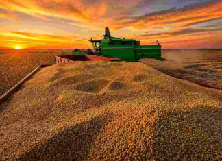 Mientras el agro crece, la industria del consumo sigue estancada Mientras el agro crece, la industria del consumo sigue estancada