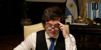 “Anarquía de mercado”: la próxima escala de la revolución mileísta