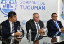 el plan del oficialismo para frenar el avance de Milei
