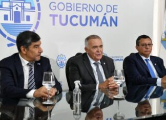 el plan del oficialismo para frenar el avance de Milei