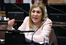 La senadora Ávila quedó a cargo de una comisión clave en el Senado