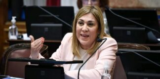 La senadora Ávila quedó a cargo de una comisión clave en el Senado