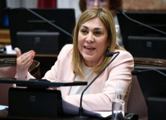 La senadora Ávila quedó a cargo de una comisión clave en el Senado