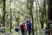 Tucumán renueva su agenda de experiencias para disfrutar durante el fin de semana
