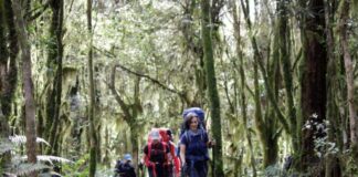 Tucumán renueva su agenda de experiencias para disfrutar durante el fin de semana
