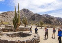 Tucumán propone un fin de semana cargado de actividades para disfrutar en toda la provincia