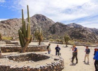 Tucumán propone un fin de semana cargado de actividades para disfrutar en toda la provincia