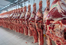 Las ventas de carne argentina a Estados Unidos se cuadruplicaron en mayo Las ventas de carne argentina a Estados Unidos se cuadruplicaron en mayo