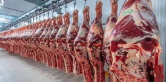 Las ventas de carne argentina a Estados Unidos se cuadruplicaron en mayo Las ventas de carne argentina a Estados Unidos se cuadruplicaron en mayo