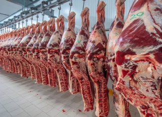 Las ventas de carne argentina a Estados Unidos se cuadruplicaron en mayo Las ventas de carne argentina a Estados Unidos se cuadruplicaron en mayo