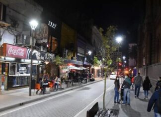 el debate se centra en el potencial presente y futuro del microcentro