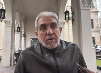 “No me van a ver como un pelotudo con el cartel de Cristina Libre”