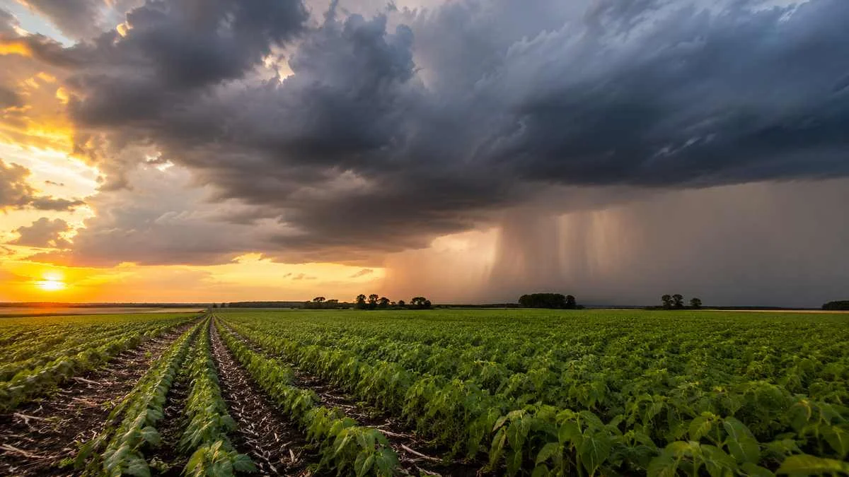 El Súper Niño podría alterar los dólares del agro y El Súper Niño podría alterar los dólares del agro y la inflación
