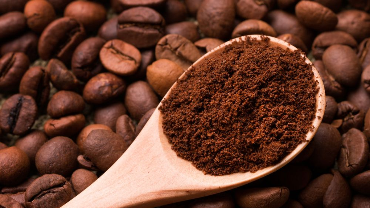 El café tucumano consolida su potencial para diversificar la producción El café tucumano consolida su potencial para diversificar la producción