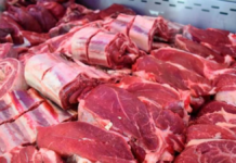 El pollo le ganó a la carne vacuna en consumo por el precio El pollo le ganó a la carne vacuna en consumo por el precio