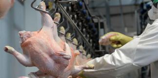 El pollo ya supera a la carne vacuna en consumo El pollo ya supera a la carne vacuna en consumo