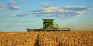 Estiman que el agro aportará USD 4.613 millones por retenciones en 2026 Estiman que el agro aportará USD 4.613 millones por retenciones en 2026