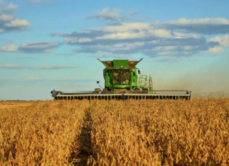 Estiman que el agro aportará USD 4.613 millones por retenciones en 2026 Estiman que el agro aportará USD 4.613 millones por retenciones en 2026