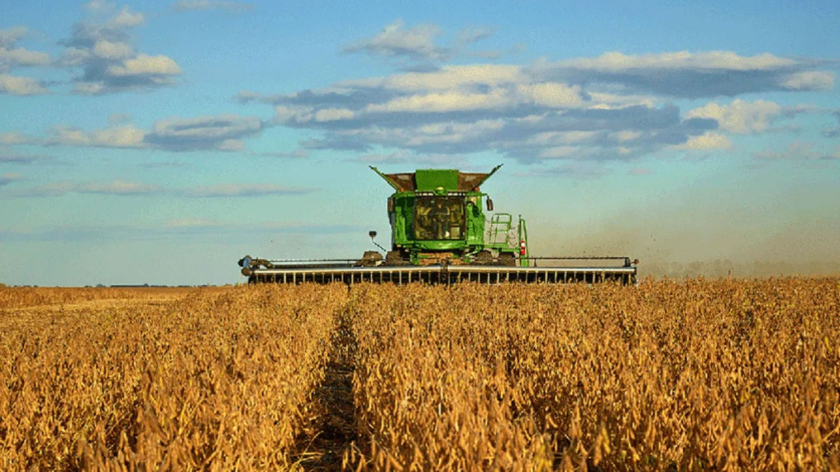Estiman que el agro aportará USD 4.613 millones por retenciones Estiman que el agro aportará USD 4.613 millones por retenciones en 2026