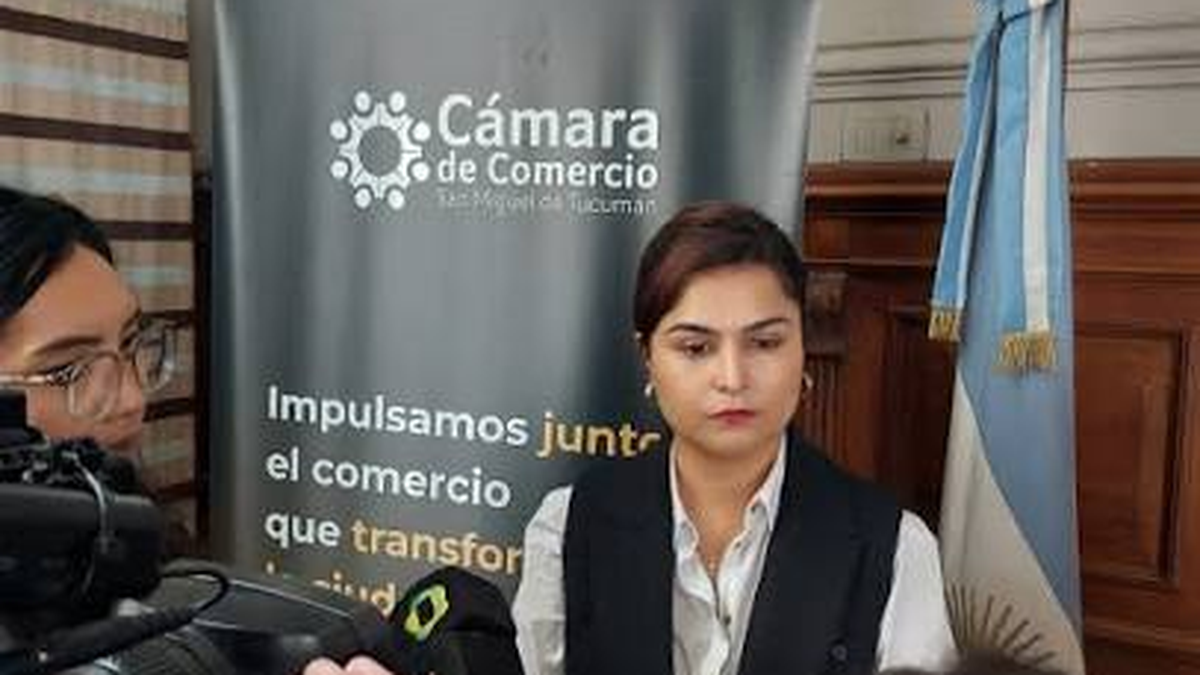 comercios piden regularizar las pautas legales comercios piden regularizar las pautas legales
