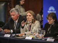 Progreso en el Senado sobre la reducción de subsidios para la Zona Fría.