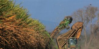 Jaldo resalta el progreso del proyecto de Ley de Biocombustibles en el Congreso.