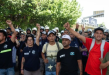 La Justicia desestimó el recurso de amparo para regresar al trabajo. La Justicia desestimó el recurso de amparo para regresar al trabajo.